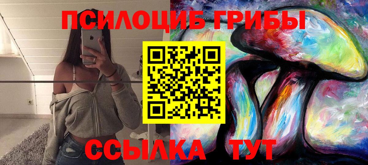 Галлюциногенные грибы Psilocybine cubensis Аксай
