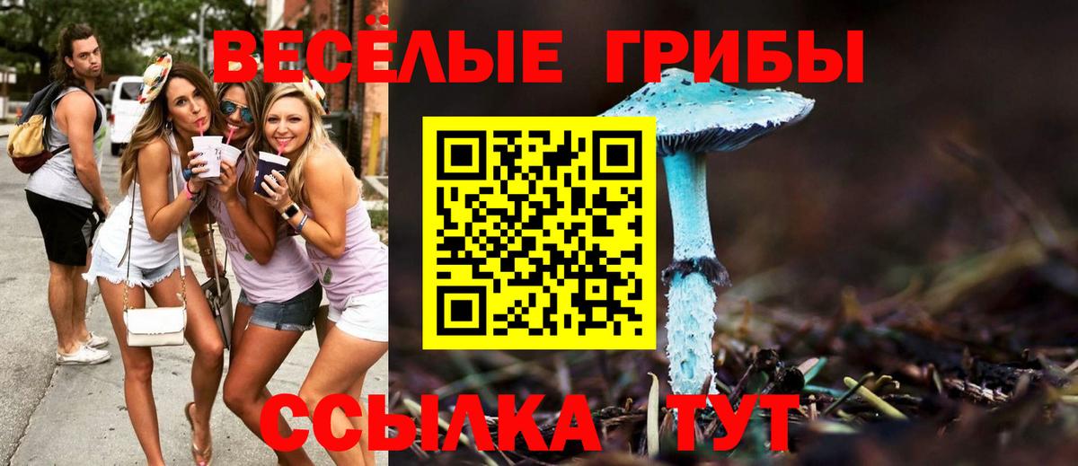 Галлюциногенные грибы ЛСД  Вход с VPN  Аксай  Псилоцибиновые грибы GOLDEN TEACHER 